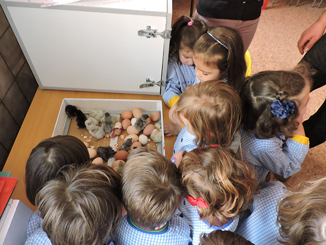 Expectación en las aulas de Infantil del colegio La Salle de Teruel