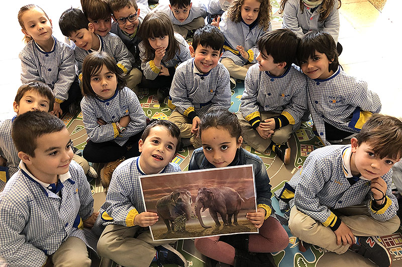 La Salle Manacor i el desenvolupament del programa CREA per a Infantil de La Salle