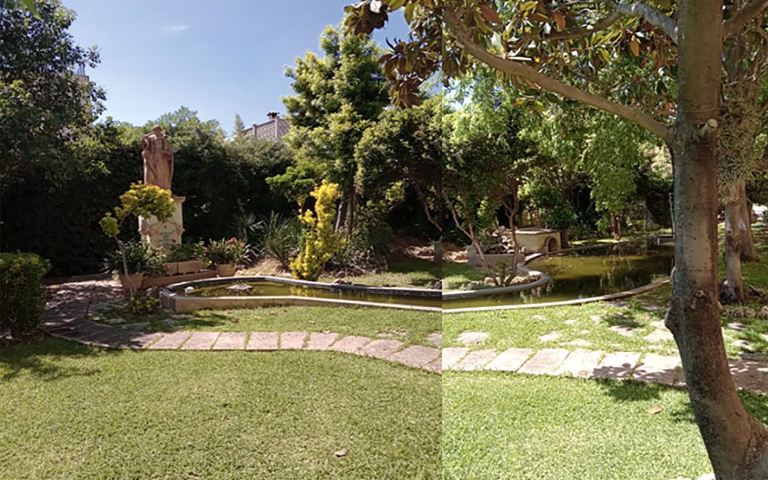 El jardín de mi residencia · reflexión de junio de 2022